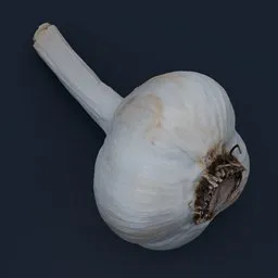 Garlic whole unpeeled head food scan