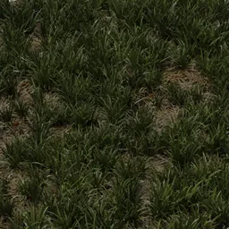 grass 1x1 m basic uncut