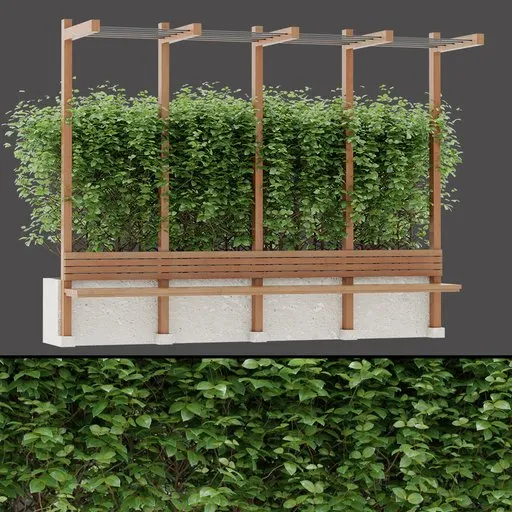 Pergola Vine Arch Structure