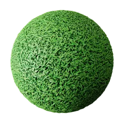Realistic GreenGrass PBR texture for 3D rendering, based on high-quality CC0 photography suitable for Blender and other 3D software.