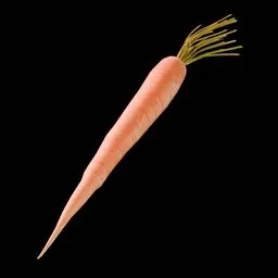 Carrot