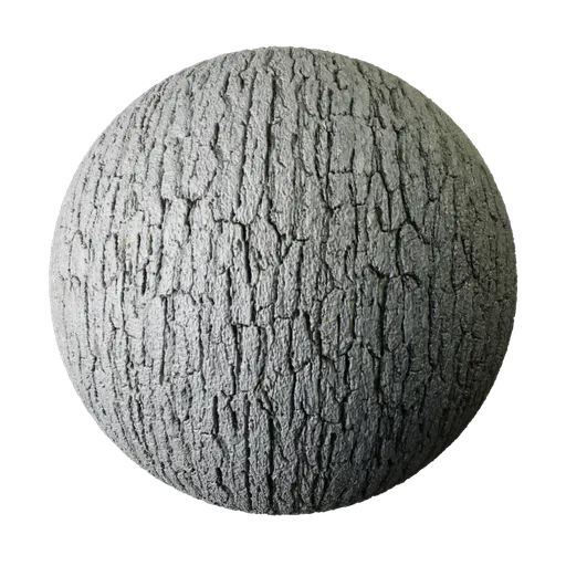 Bark - Tree