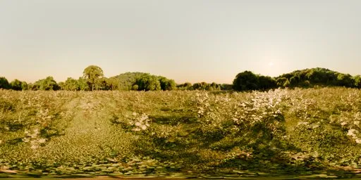 Bright 16K HDR panorama of a serene hillside with greenery under a clear sky, perfect for realistic lighting in visual scenes.