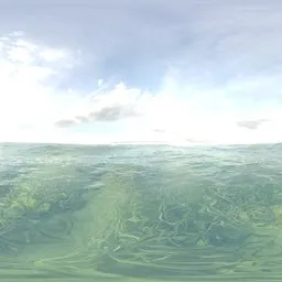 Dreamy Sea Grass Water