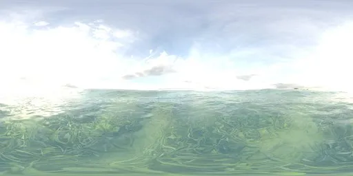 Dreamy Sea Grass Water