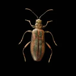 Realistic Bug
