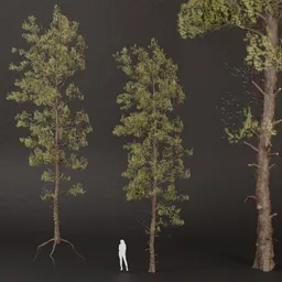 SJ-Realistic Pine Tree Pack