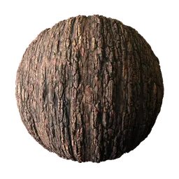 Tree Bark