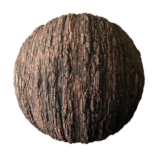 Tree Bark