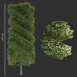 "High-quality natural tree 3D model for Blender 3D - perfect for parks and outdoor scenes. Includes detailed textures and a plant growing out of the trunk. By Mārtiņš Krūmiņš and Ram Chandra Shukla."