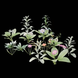 Realistic Outdoor Flowers