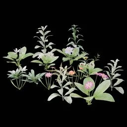 Realistic Outdoor Flowers