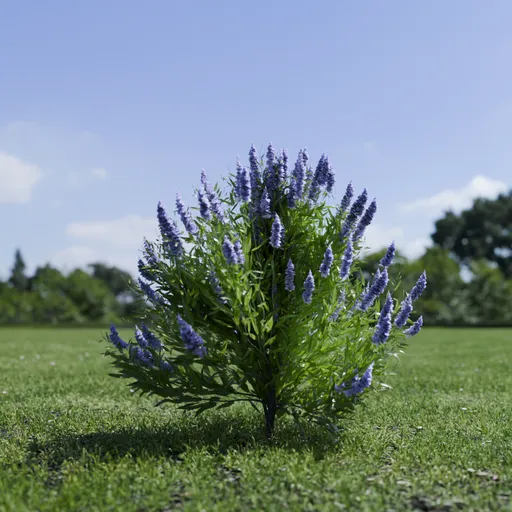 Shurb Spirea Care Blue Mist Animated