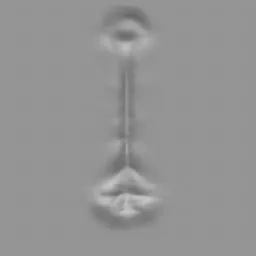 ER_Muscle brush 74 imprint for 3D modeling, ideal for creating male spine musculature in Blender.