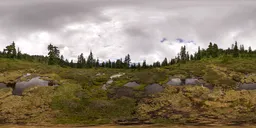 Green Nature Landscape Overcast