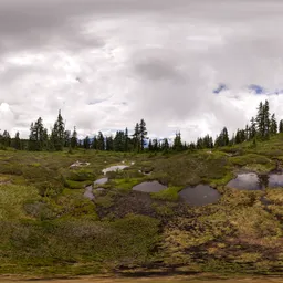 Green Nature Landscape Overcast