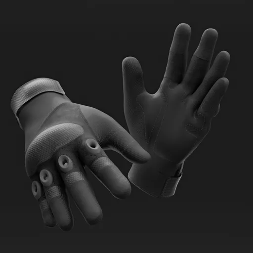 Motorcycle Gloves