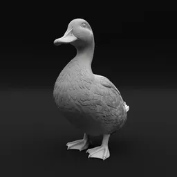 Duck Standing