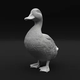Duck Standing