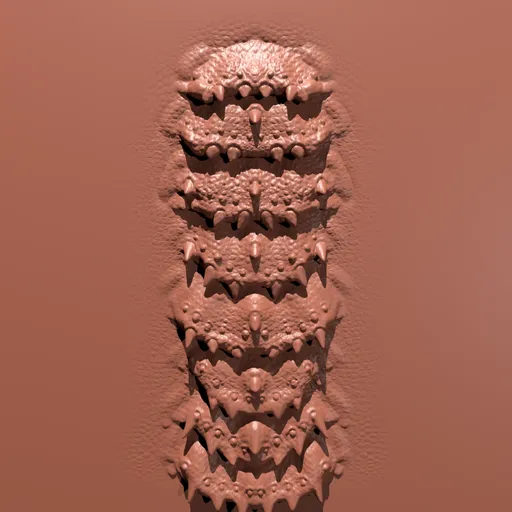Elaborate Throat Scale