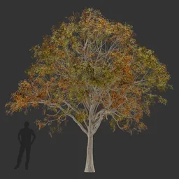 Oak Tree Autumn-Game Ready