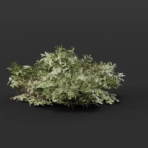 Realistic 3D model of a dense green bush for Blender, ideal for enhancing virtual landscapes and outdoor scenes.
