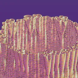 Contour Crater Coral Form Anime Shaded