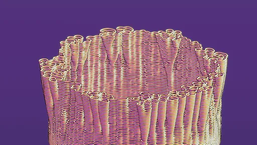 Contour Crater Coral Form Anime Shaded