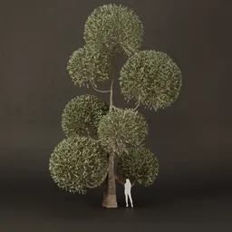 SJ-Ornamental Tree Lift Mood