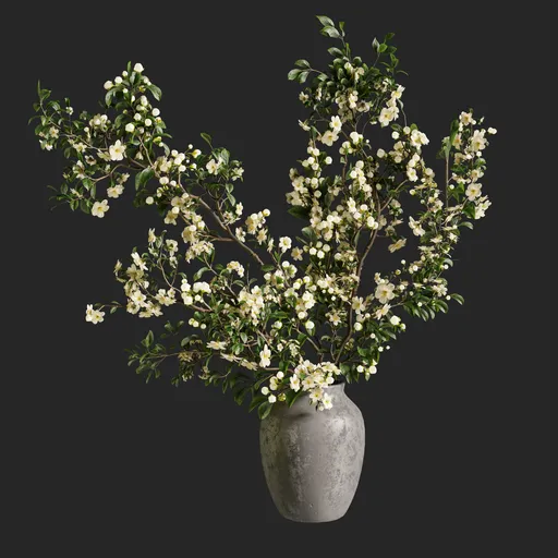 White blossom
