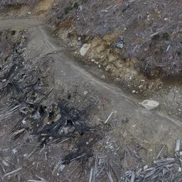 Dirt Road Mountain Clearcut Photoscan