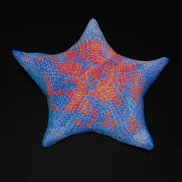 Detailed 3D blue and red starfish model, rigged for animation in Blender, represents Patiria pectinifera.