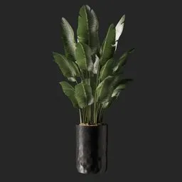 Lifelike 3D banana plant model, perfect for Blender, with high-detail textures and efficient poly count, ideal for indoor nature scenes.