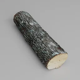 Wood Log
