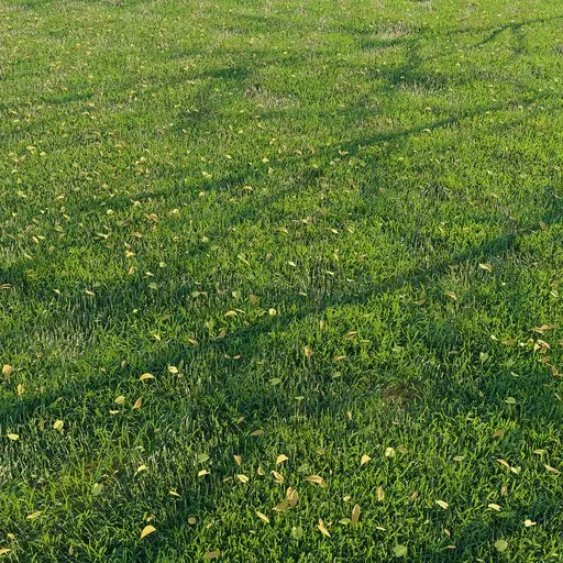Realistic 3D grass patch with scattered dry leaves for Blender rendering, showing natural translucency and texture.