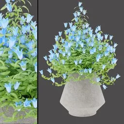 Blue Bloom Outdoor Planter