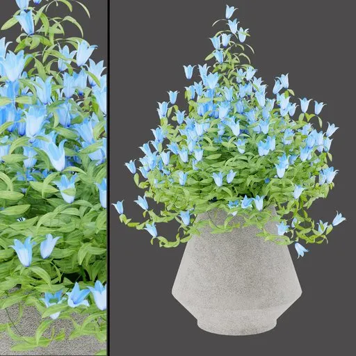 Blue Bloom Outdoor Planter
