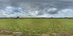 Green Grass Cloud Tree