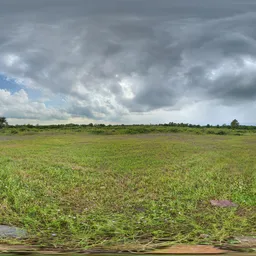 Green Grass Cloud Tree