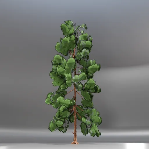 Pine Toon Tree