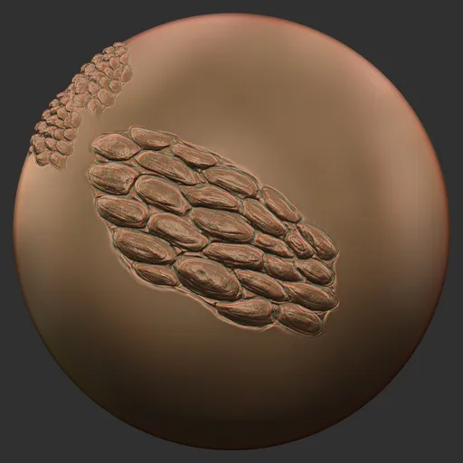 ER_Dragon Brush Serpent Hide