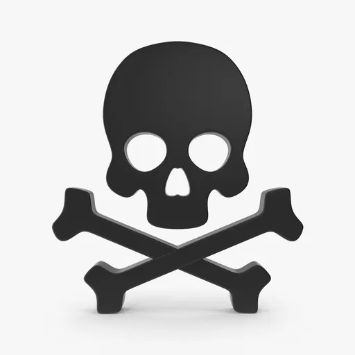 Skull Icon