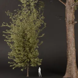 SJ-lowpoly pine realistic tree