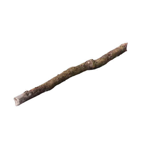 Branch