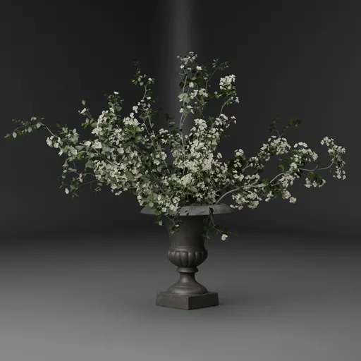White Blossom