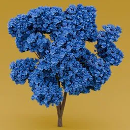 Blue flowered-dark purple leaved tree