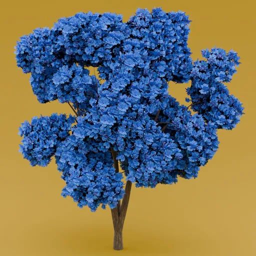 Blue flowered-dark purple leaved tree