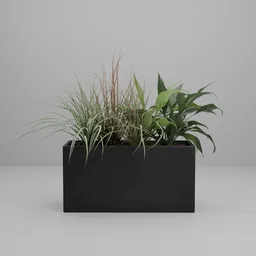 Mixed Indoor Plants
