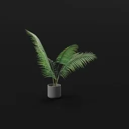 Small Palm Tall Potted