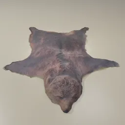 Bear Pelt with hair